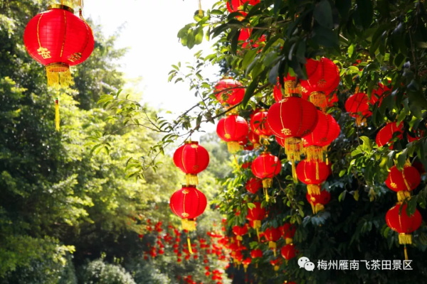 �뵽÷�ݹ����꣬���Ϸɲ��ﾰ����Ʊ����һ��һ�������ж������������㲻����~